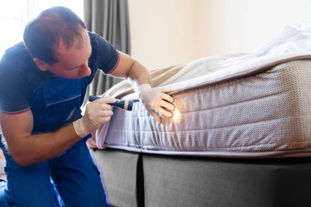 Best Bed Bug Extermination  in Fairview, TX